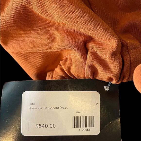 The RAETRUDA Rust Tie Accent Dress - Picture 9 of 12